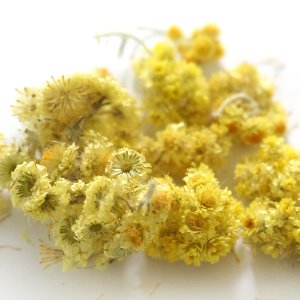 옐로우체이스트위드 50g (Helichrysum Arenarium Flower) 리투아니아